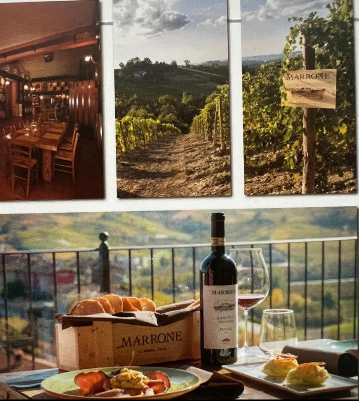 Agriturismo Da Mamma Альба Экстерьер фото