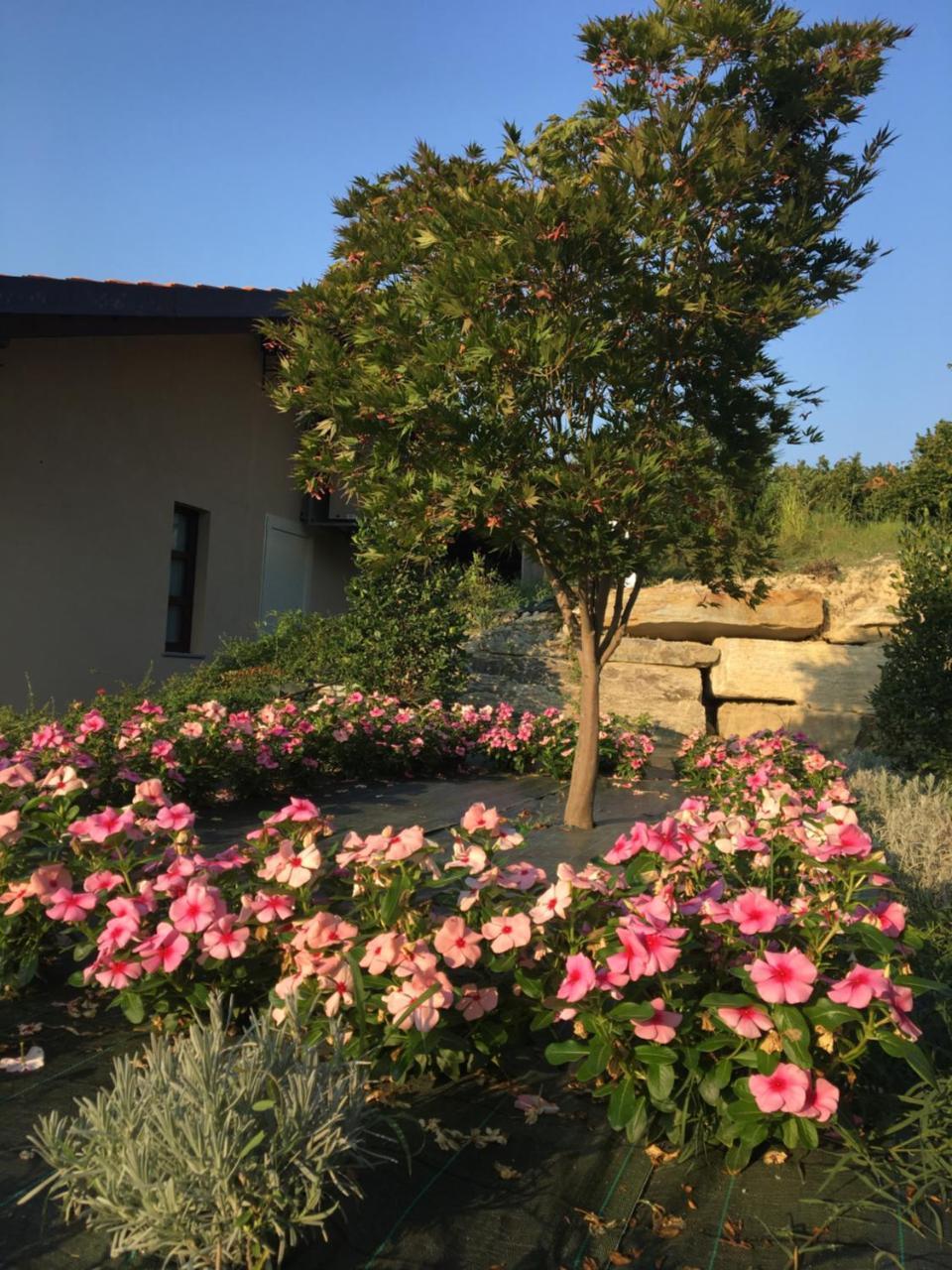 Agriturismo Da Mamma Альба Экстерьер фото