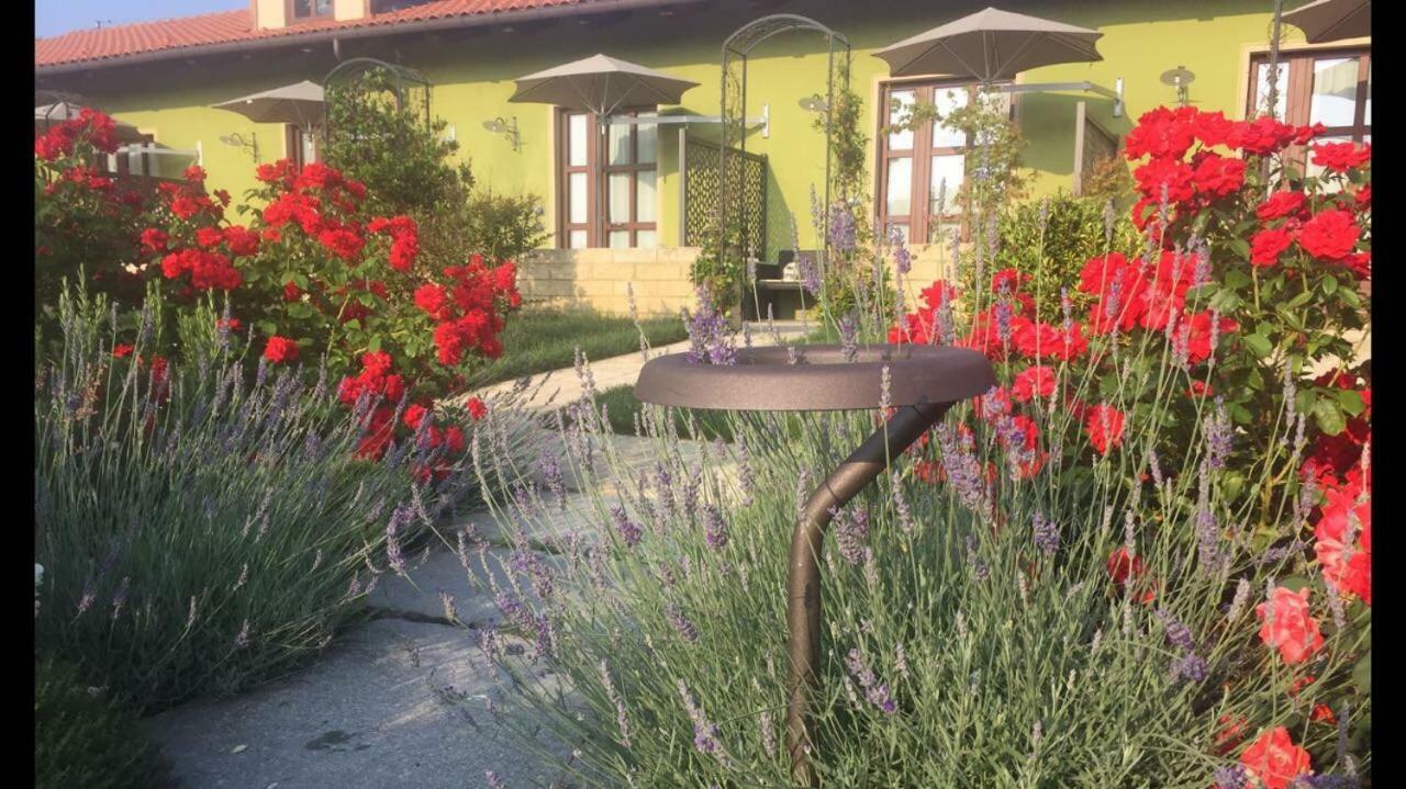 Agriturismo Da Mamma Альба Экстерьер фото